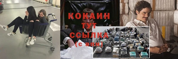 винт Абаза