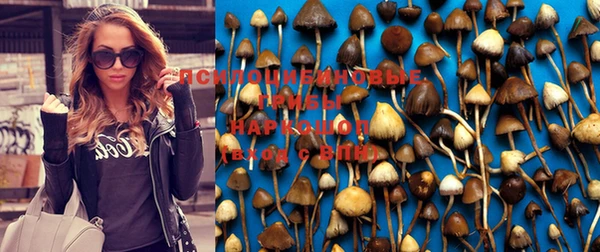 винт Абаза