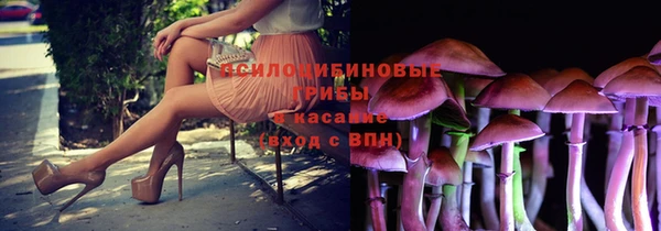 ГАЛЛЮЦИНОГЕННЫЕ ГРИБЫ Пролетарск
