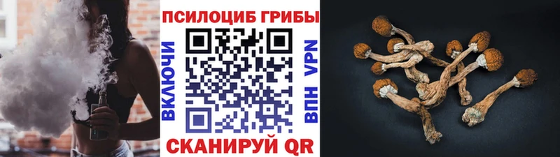 Псилоцибиновые грибы Cubensis  купить   Истра 